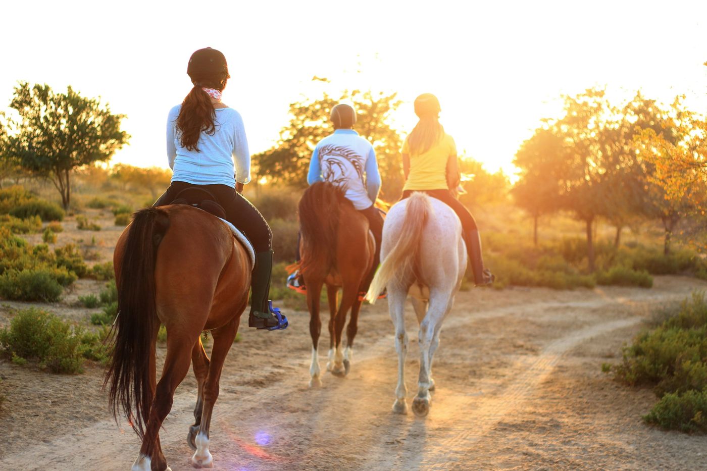 Trois cavaliers au coucher du soleil sur un chemin entre les arbres