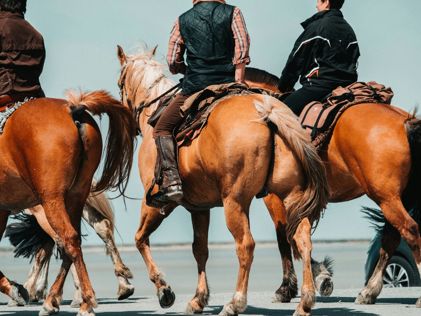 Groupe de cavaliers en randonnée